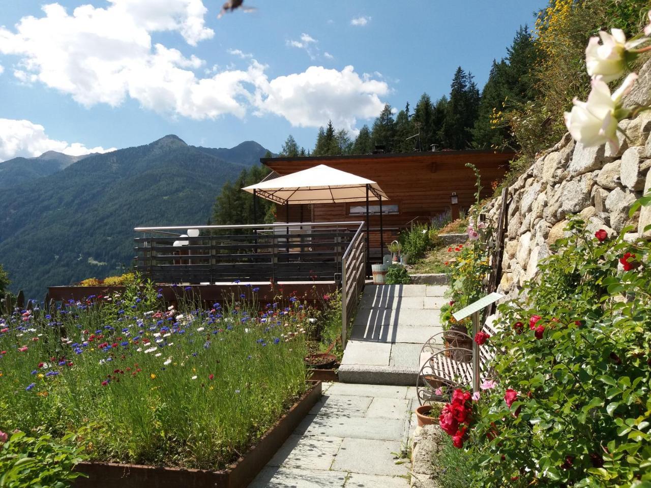 Apart-Chalet Talblick Ahrntal Esterno foto